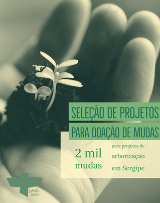 Canto Vivo seleciona projetos de Sergipe para doação de mudas de árvores