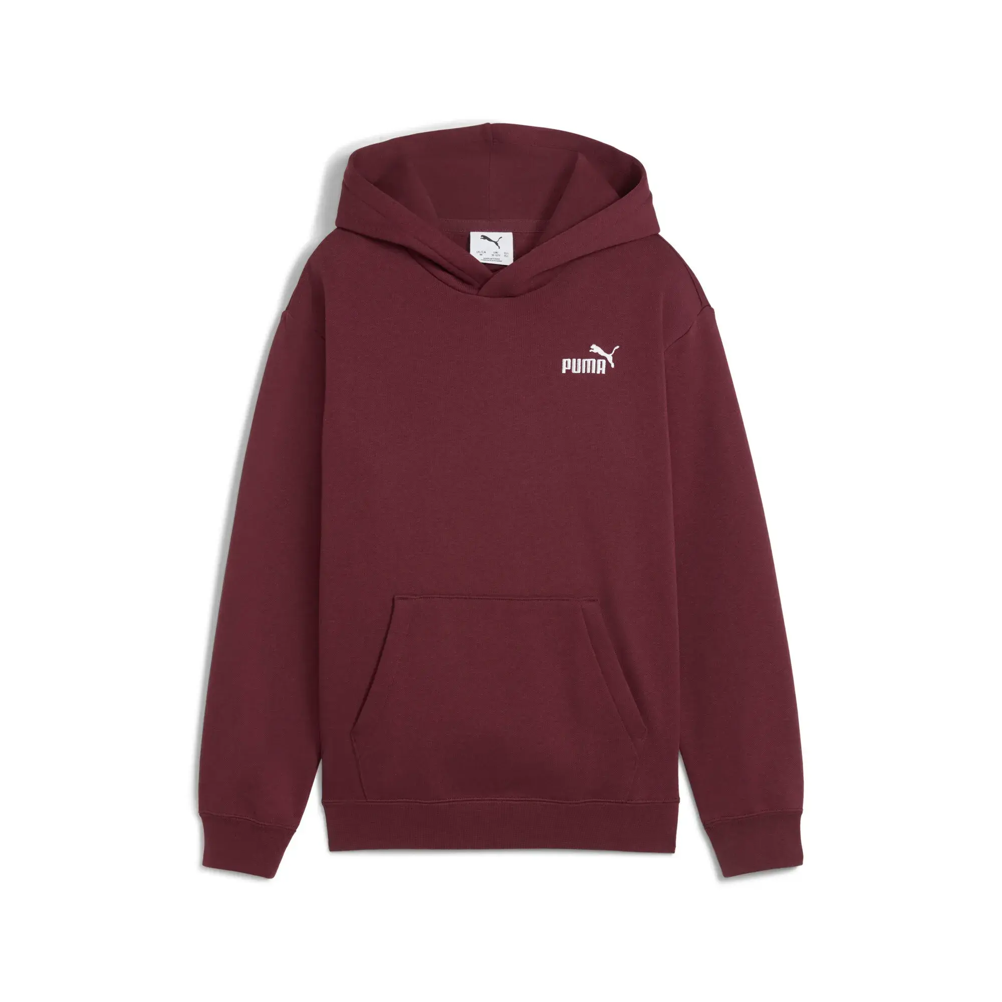 ESS Small Logo Hoodie