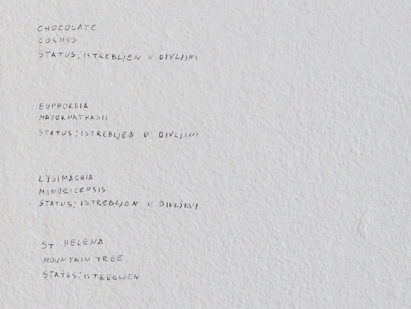 A handwritten list of plants, mentioned in the description, is on the wall.