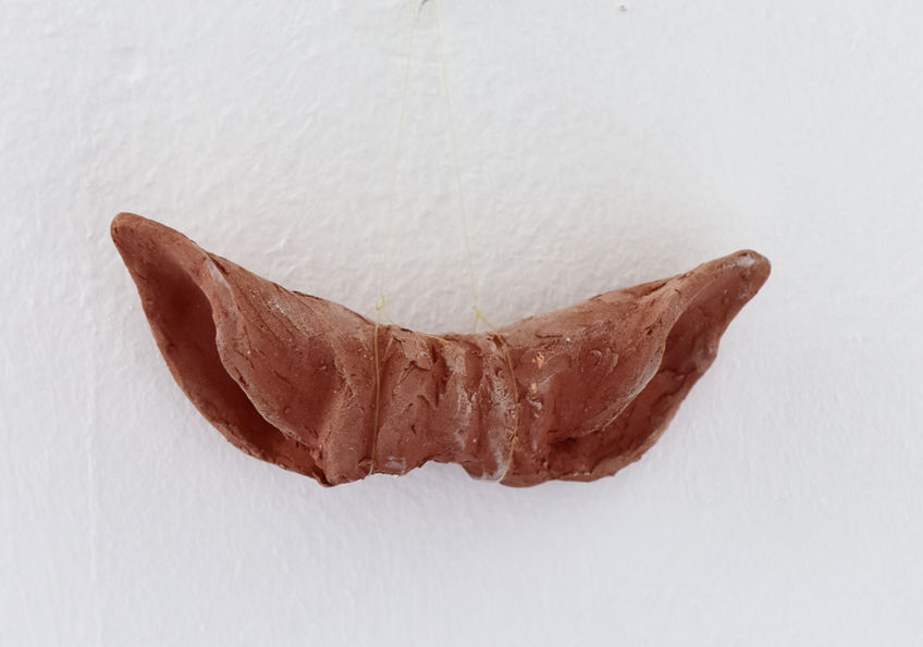 Terracotta sculpture of small sharp animal ears resembling a butterfly hanging on the wall.