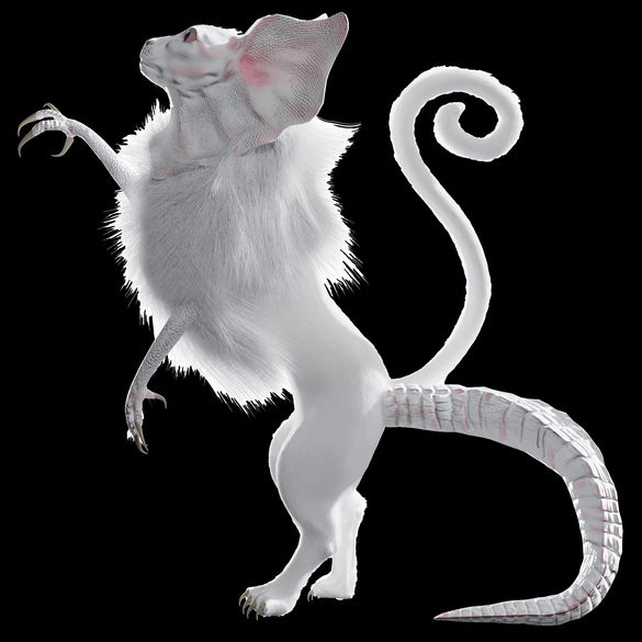 Sylvie (creature from the text with two tails) standing on hind legs against black background.