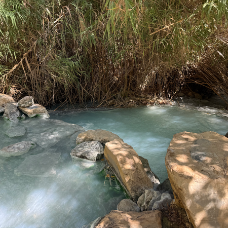 Baños de la Hedionda Casares