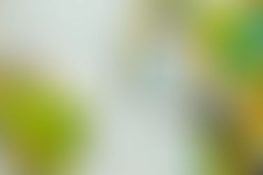 Study Abroad Trip: Ghana