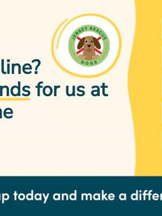 Help us by Shopping!