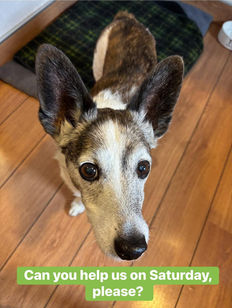 VOLUNTEERS NEEDED  - Saturday 25th October