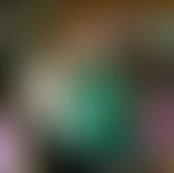  Jennifer Lay from Jersey Rescue Dogs rescue dogs Buddy.