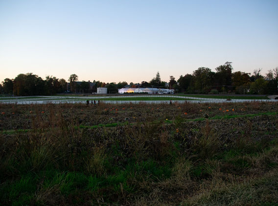 DSC_8206.jpg