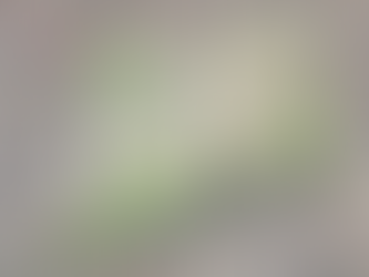 SNAPDRAGON STADIUM: SDSU Mission Valley project includes much more to come