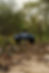 DSC04146.jpg