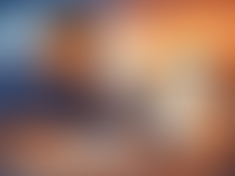 Pesquisando empresas e solicitando orçamentos