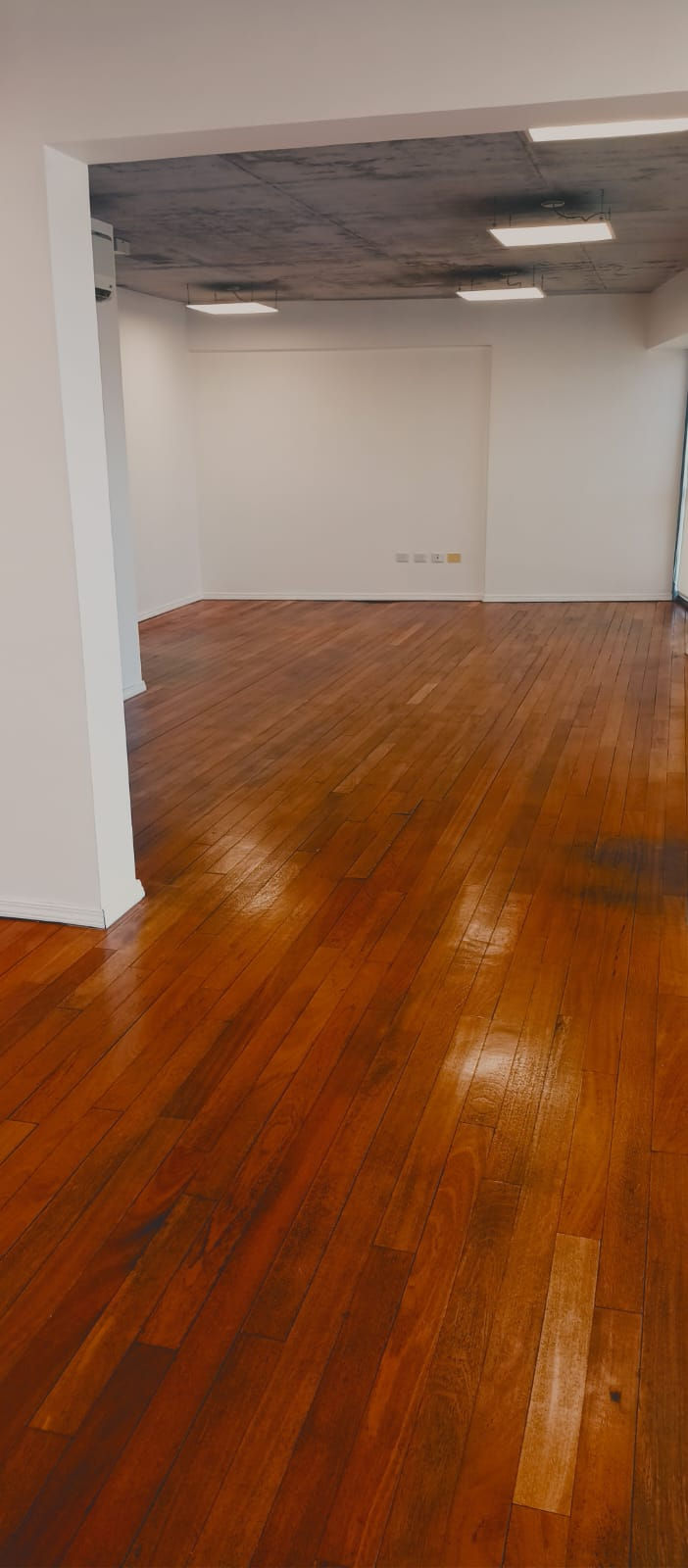 WhatsApp Image 2025-01-08 at 7.10.53 PM