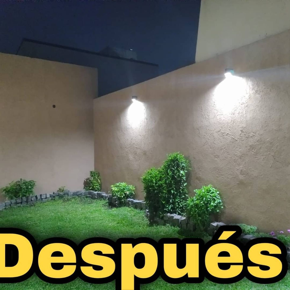 WhatsApp Image 2025-01-08 at 6.51.20 PM (3)