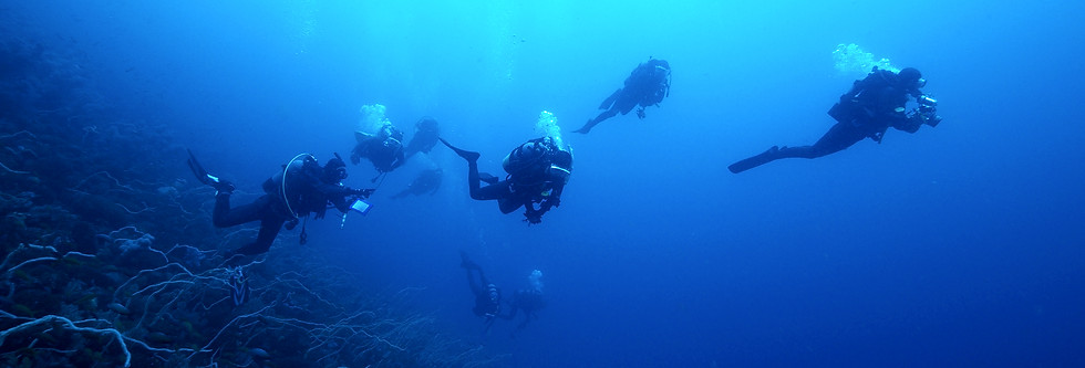 Group Scuba Diving