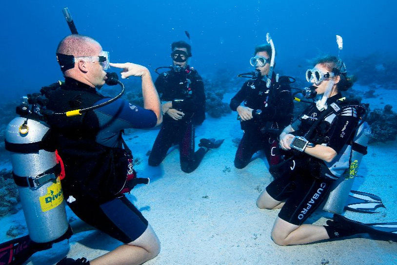 Learn-to-Dive-2a.jpg