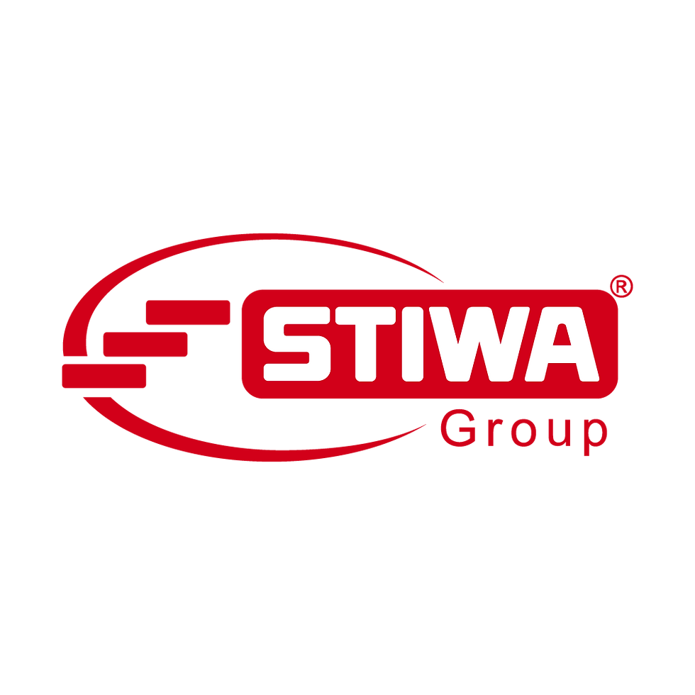 stiwa voiceover artist