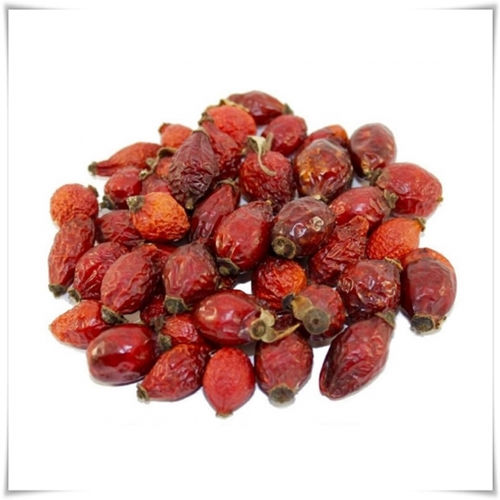 Yeni mahsul kuşburnu meyvesi.