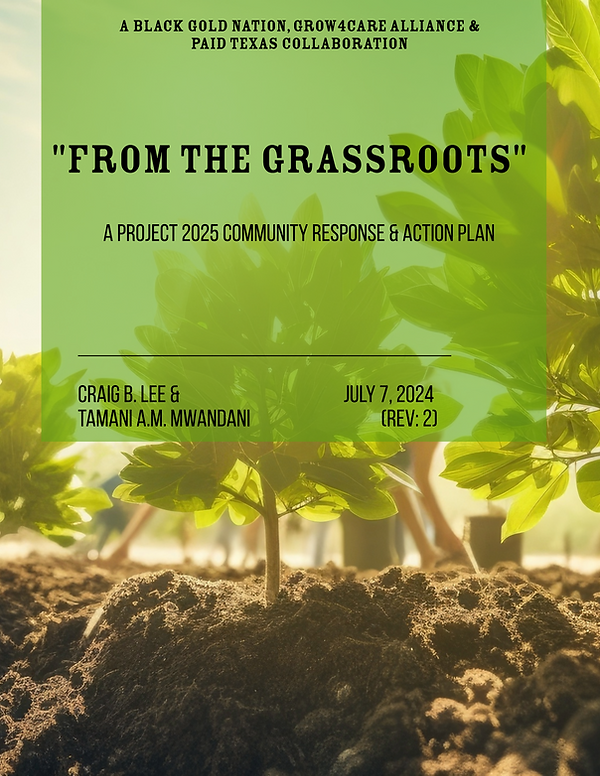 From the Grassroots (Cover) (Rev. 2 - Sun, July 7).png