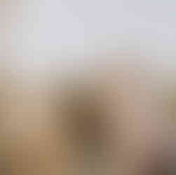 Salt Lake City wedding photographer, park city wedding photographer, Herriman wedding photographer, draper wedding photographer, Herriman wedding photographer, orem wedding photographer, bountiful wedding photographer, orem wedding photographer, pleasant grove wedding photographer, salt lake engagement photographer, draper engagement photographer, Salt Lake City engagement photographer, park city utah engagement photographer, draper lifestyle photographer, davis county wedding photographer, kaysville wedding photographer, ogden wedding photographer, antelope island bridal session, antelope island engagement session, layton utah engagement photographer, Salt Lake City elopement, draper elopement, park city elopement, medway utah wedding photographer, Morgan utah wedding photographer, Morgan utah engagement photographer, Salt Lake City bridal photos, Salt Lake City bridal photographer, Draper Utah bridal photos, Salt Lake City family photographer, Salt Lake City maternity photographer, draper family photographer, draper maternity photographer, draper lifestyle photographer, provo family photographer, provo maternity photographer, orem family photographer, orem maternity photographer, davis county family photographer, davis county maternity photographer, draper portrait photographer, Salt Lake City portrait photographer, kaysville family photographer, kaysville maternity photographer, kaysville portrait photographer, Herriman portrait photographer, Herriman family photographer, Herriman maternity photographer 