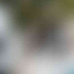 Salt Lake City wedding planner, northern utah wedding planner, salt lake wedding planner, Southern Utah wedding planner, ogden wedding planner, provo wedding planner, utah county wedding planner, Saratoga spring wedding planner, st George wedding planner, sedona wedding planner, kaysville wedding planner, layton wedding planner, bountiful wedding planner, park city wedding photographer, park city family photographer, park city photographer, park city wedding photographer, Salt Lake City wedding photographer, park city wedding photographer, Herriman wedding photographer, draper wedding photographer, Herriman wedding photographer, orem wedding photographer, bountiful wedding photographer, orem wedding photographer, pleasant grove wedding photographer, salt lake engagement photographer, draper engagement photographer, Salt Lake City engagement photographer, park city utah engagement photographer, draper lifestyle photographer, davis county wedding photographer, kaysville wedding photographer, ogden wedding photographer, antelope island bridal session, antelope island engagement session, layton utah engagement photographer, Salt Lake City elopement, draper elopement, park city elopement, medway utah wedding photographer, Morgan utah wedding photographer, Morgan utah engagement photographer, Salt Lake City bridal photos, Salt Lake City bridal photographer, Draper Utah bridal photos, Salt Lake City family photographer, Salt Lake City maternity photographer, draper family photographer, draper maternity photographer, draper lifestyle photographer, provo family photographer, provo maternity photographer, orem family photographer, orem maternity photographer, davis county family photographer, davis county maternity photographer, draper portrait photographer, Salt Lake City portrait photographer, kaysville family photographer, kaysville maternity photographer, kaysville portrait photographer, Herriman portrait photographer, Herriman family photographer, Herriman maternity photographer, orem wedding photographer, Lehi wedding photographer, orem photographer, Lehi photographer, Southern utah wedding photographer, southern utah elopement photographer, southern utah elopement, st George elopement, horseshoe bend elopement, horseshoe bend bridals, red rock elopement, lake Powell elopement, lake Powell bridals, lake Powell, southern utah photographer, salt lake lifestyle newborn photos, salt lake newborn photographer, salt Lake maternity photographer, provo newborn photographer, utah lifestyle newborn photographer, newborn photographer in provo, orem newborn photographer, Herriman newborn photographer, bountiful newborn photographer, kaysville newborn photographer, bluffdale newborn photographer, kaysville newborn photographer, layton newborn photographer, salt lake maternity photographer, salt lake studio, studio maternity session, Herriman wedding photographer, Herriman family photographer, Herriman newborn photographer, Herriman photographer, Herriman engagement photographer, daybreak wedding photographer, daybreak family photographer, daybreak newborn photographer, daybreak, photographer