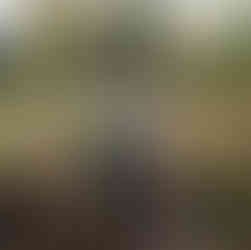 Salt Lake City wedding planner, northern utah wedding planner, salt lake wedding planner, Southern Utah wedding planner, ogden wedding planner, provo wedding planner, utah county wedding planner, Saratoga spring wedding planner, st George wedding planner, sedona wedding planner, kaysville wedding planner, layton wedding planner, bountiful wedding planner, park city wedding photographer, park city family photographer, park city photographer, park city wedding photographer, Salt Lake City wedding photographer, park city wedding photographer, Herriman wedding photographer, draper wedding photographer, Herriman wedding photographer, orem wedding photographer, bountiful wedding photographer, orem wedding photographer, pleasant grove wedding photographer, salt lake engagement photographer, draper engagement photographer, Salt Lake City engagement photographer, park city utah engagement photographer, draper lifestyle photographer, davis county wedding photographer, kaysville wedding photographer, ogden wedding photographer, antelope island bridal session, antelope island engagement session, layton utah engagement photographer, Salt Lake City elopement, draper elopement, park city elopement, medway utah wedding photographer, Morgan utah wedding photographer, Morgan utah engagement photographer, Salt Lake City bridal photos, Salt Lake City bridal photographer, Draper Utah bridal photos, Salt Lake City family photographer, Salt Lake City maternity photographer, draper family photographer, draper maternity photographer, draper lifestyle photographer, provo family photographer, provo maternity photographer, orem family photographer, orem maternity photographer, davis county family photographer, davis county maternity photographer, draper portrait photographer, Salt Lake City portrait photographer, kaysville family photographer, kaysville maternity photographer, kaysville portrait photographer, Herriman portrait photographer, Herriman family photographer, Herriman maternity photographer, orem wedding photographer, Lehi wedding photographer, orem photographer, Lehi photographer, Southern utah wedding photographer, southern utah elopement photographer, southern utah elopement, st George elopement, horseshoe bend elopement, horseshoe bend bridals, red rock elopement, lake Powell elopement, lake Powell bridals, lake Powell, southern utah photographer, salt lake lifestyle newborn photos, salt lake newborn photographer, salt Lake maternity photographer, provo newborn photographer, utah lifestyle newborn photographer, newborn photographer in provo, orem newborn photographer, Herriman newborn photographer, bountiful newborn photographer, kaysville newborn photographer, bluffdale newborn photographer, kaysville newborn photographer, layton newborn photographer, salt lake maternity photographer, salt lake studio, studio maternity session, Herriman wedding photographer, Herriman family photographer, Herriman newborn photographer, Herriman photographer, Herriman engagement photographer, daybreak wedding photographer, daybreak family photographer, daybreak newborn photographer, daybreak, photographer