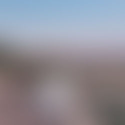 Olive + Jon Antelope Island Bridal Session | Salt Lake City Wedding Photographer