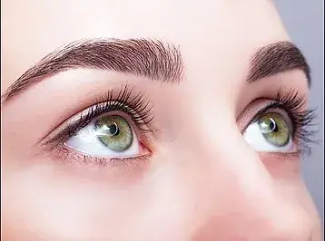 cejas.webp