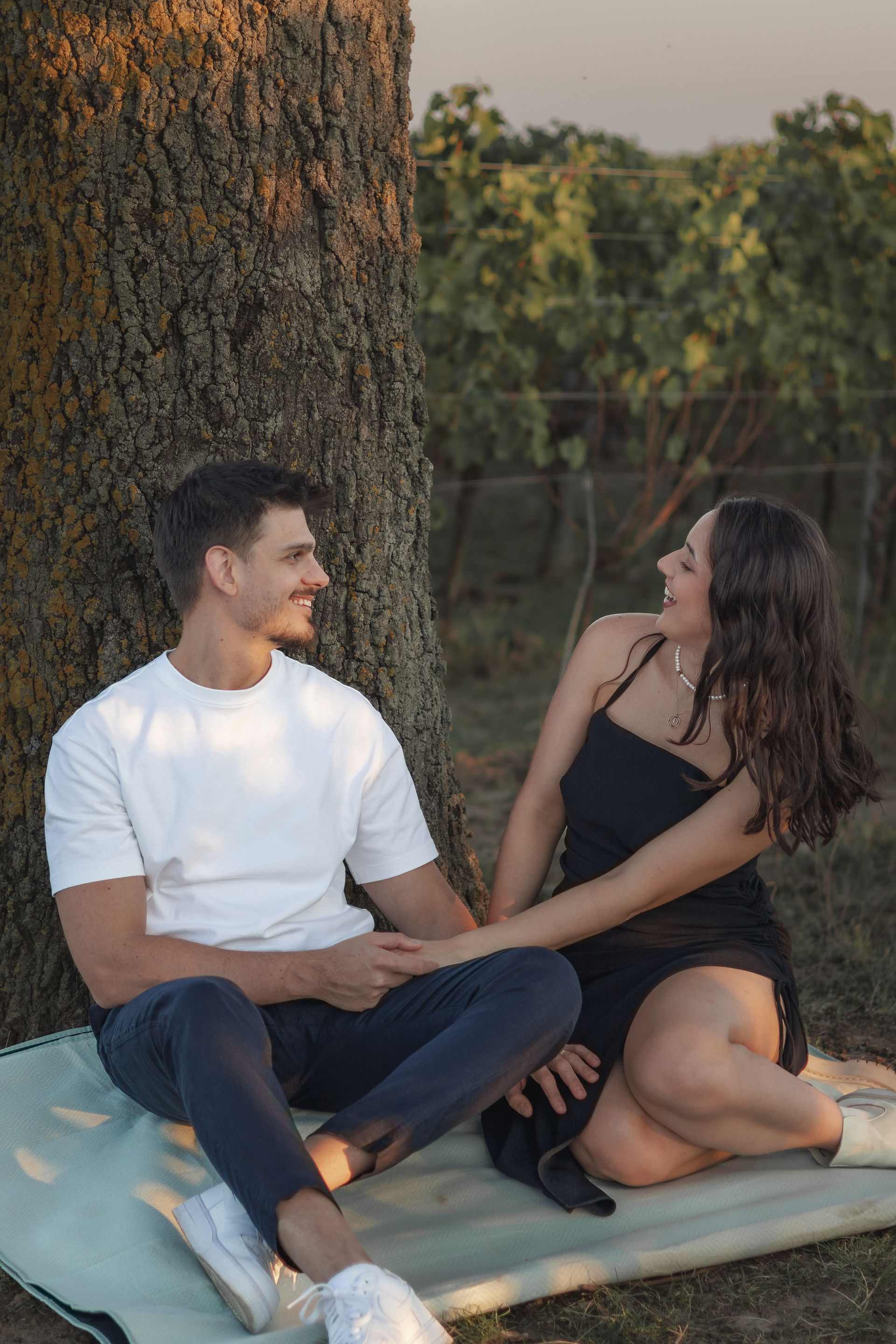 sunset vineyard couple photos