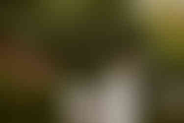 Scheunentraum wedding photography