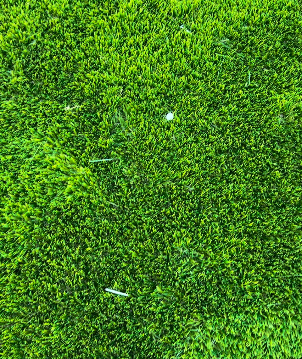 Turf staples for seam install.
