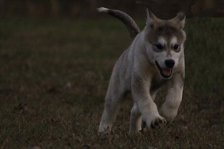 iron man 1 nov 3.jpg