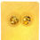 Thumbnail: Earring (SM9)