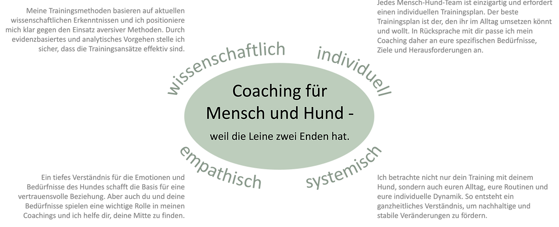 Hundetraining in Mannheim: wissenschaftlich, individuell, empathisch, systemisch