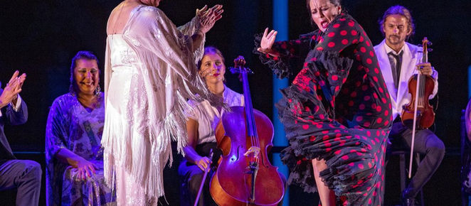 El flamenco grita lo que alma calla