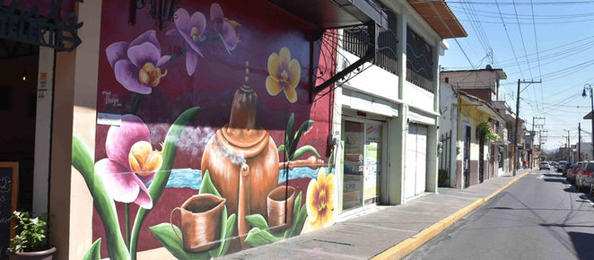 Eco Libro Orizaba: la nueva ruta a la sustentabilidad