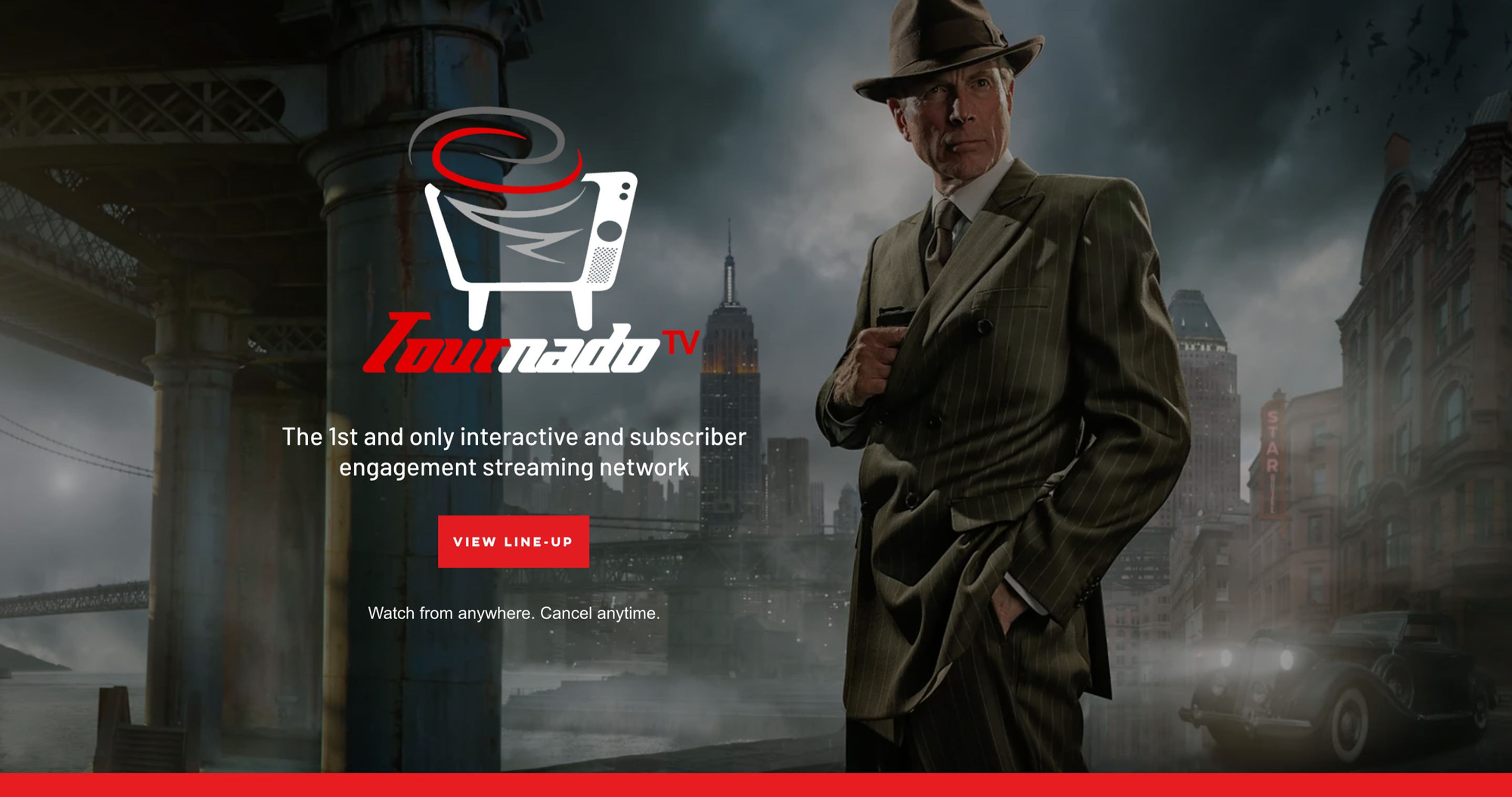 Network Website Template