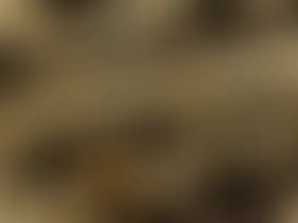 What is Content Marketing?