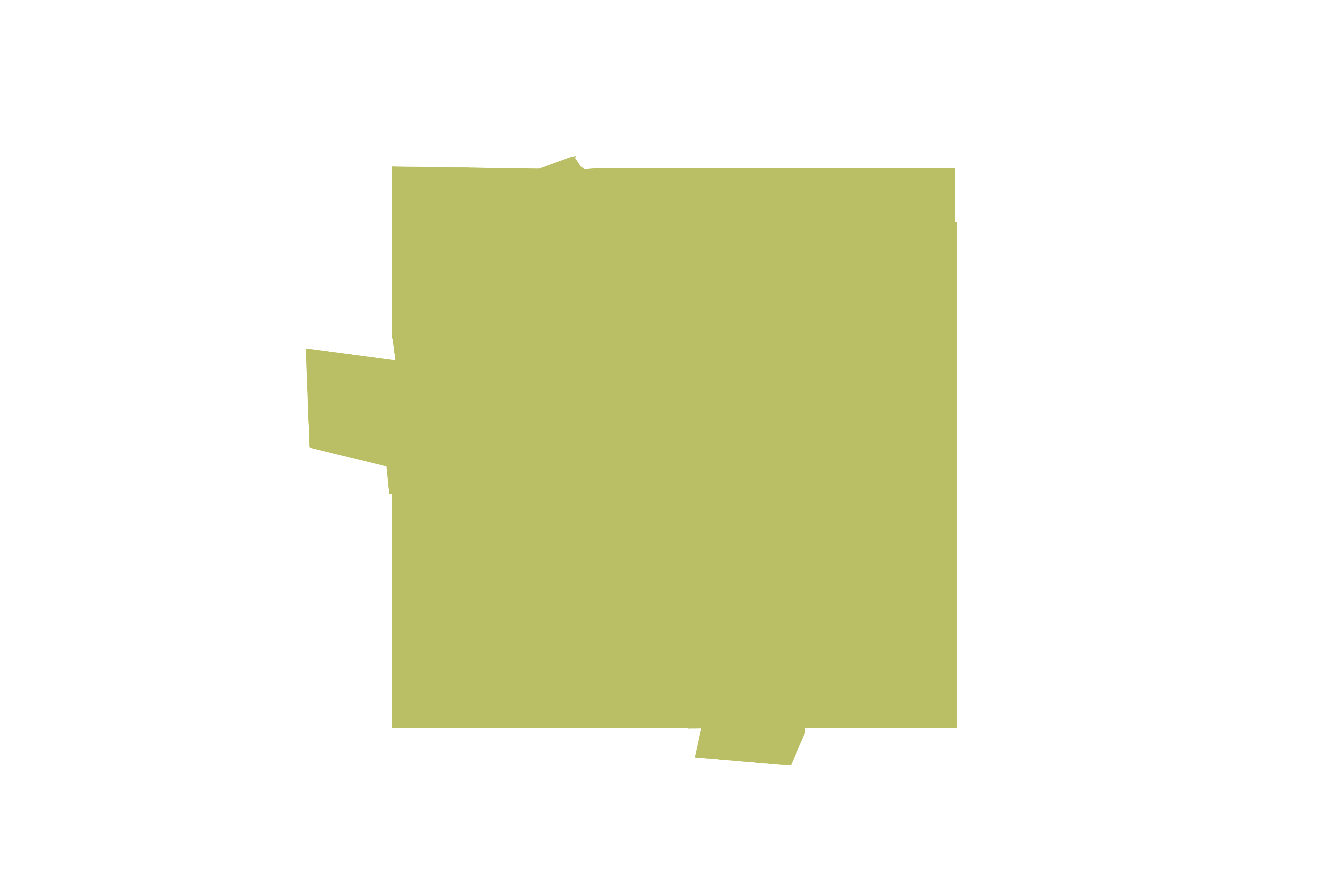 mockup-passaros-verde-gif.gif