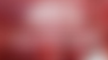 JMJ 2015: Mensagem do Papa Francisco para a XXX Jornada Mundial da Juventude