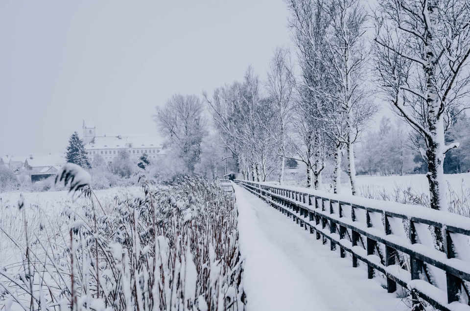 Verschneiter Weg mit Geländer, Bäumen und Feldern in winterlicher Landschaft.