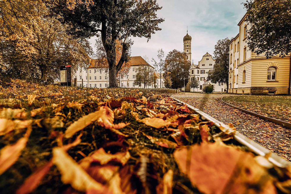 herbstliche Stimmung, Kloster und Kirche St. Magnus in Bad Schussenried im Hintergrund