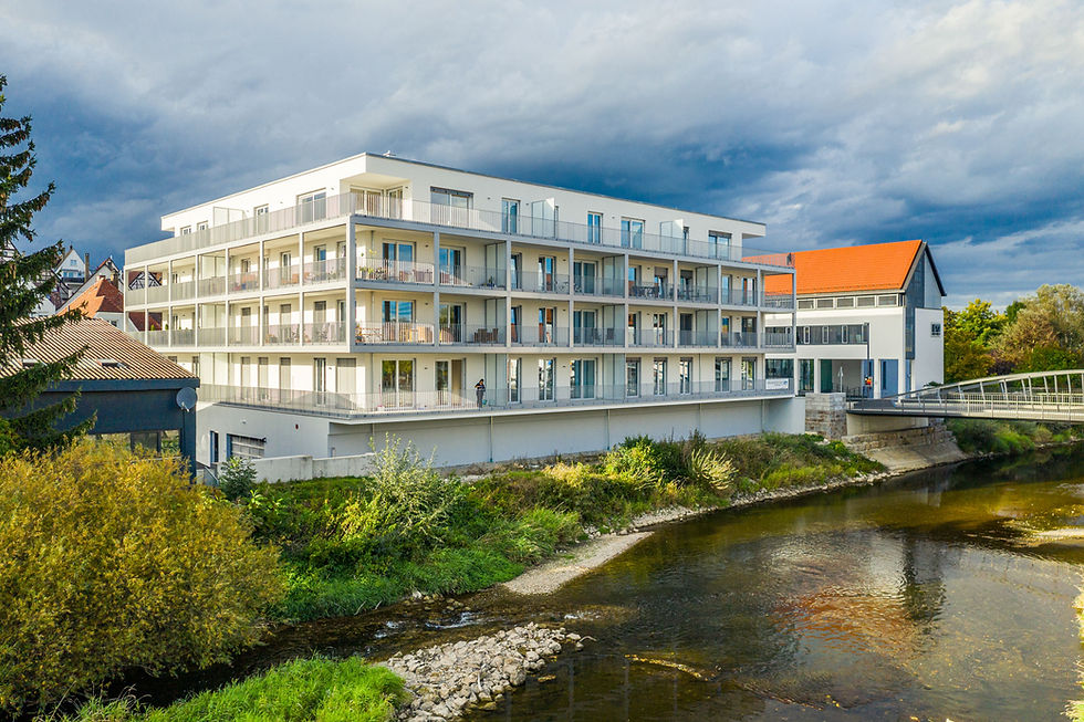 Immobilie aus der Luft in Riedlingen