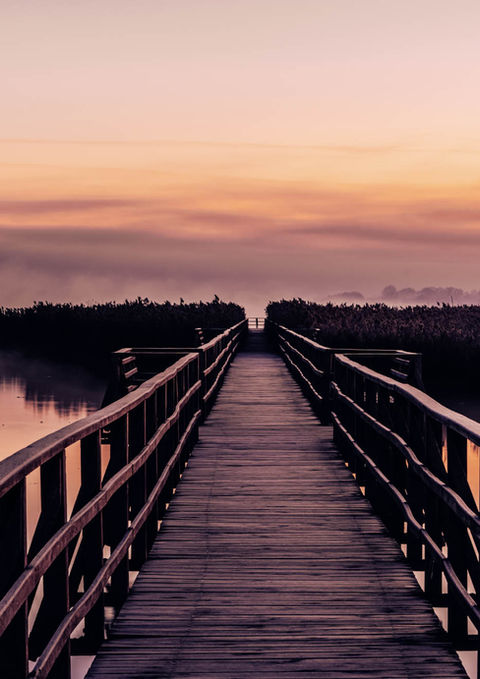 Holzsteg über Wasser bei Sonnenaufgang mit Schilf und farbigem Himmel.