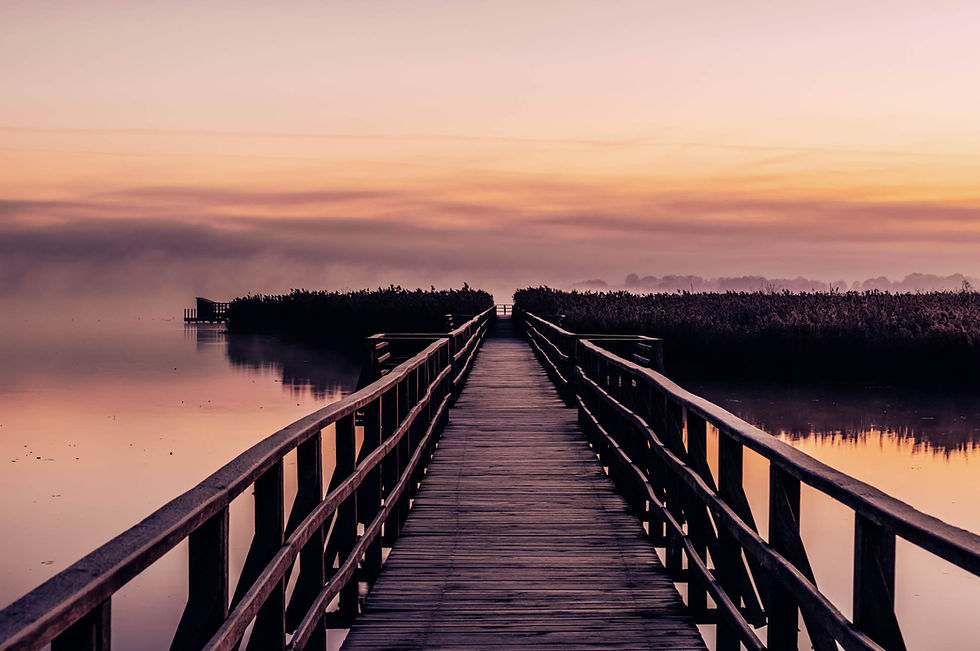Holzsteg über stillen See bei Sonnenaufgang, rosa Himmel und Nebel über Schilf. Federsee bei Bad Buchau