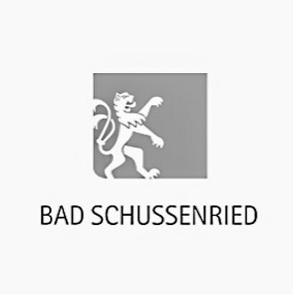 Logo Bad Schussenried mit Löwe im grauen Quadrat, Text BAD SCHUSSENRIED