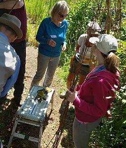 Group learning ti Sculpt