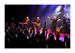 © All Rights Reserved Mako