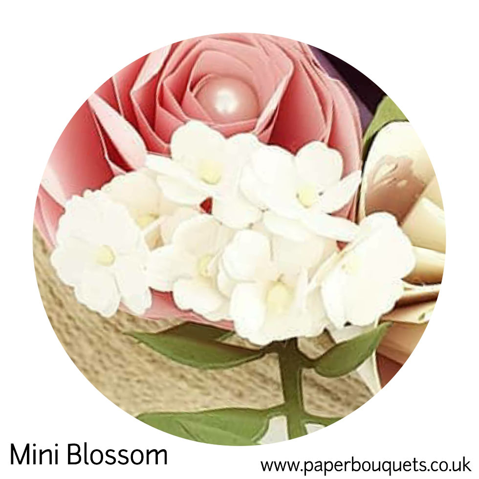 Mini Blossom