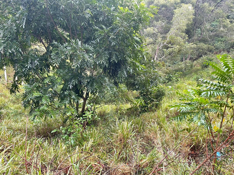 WhatsApp Image 5-2026-04-08 at 10.35.18 AM