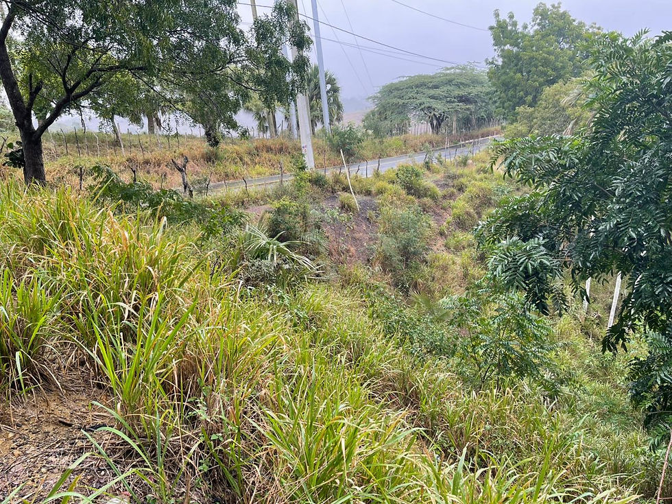 WhatsApp Image 3-2026-04-08 at 10.34.10 AM