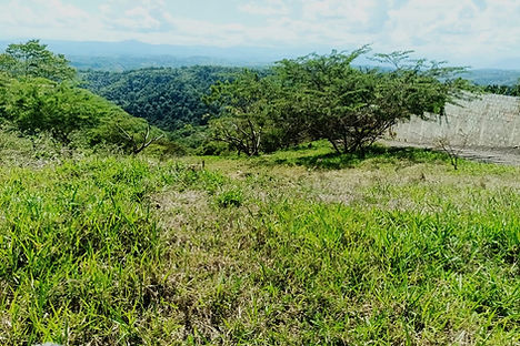 80 tareas sajoma 5.jpeg